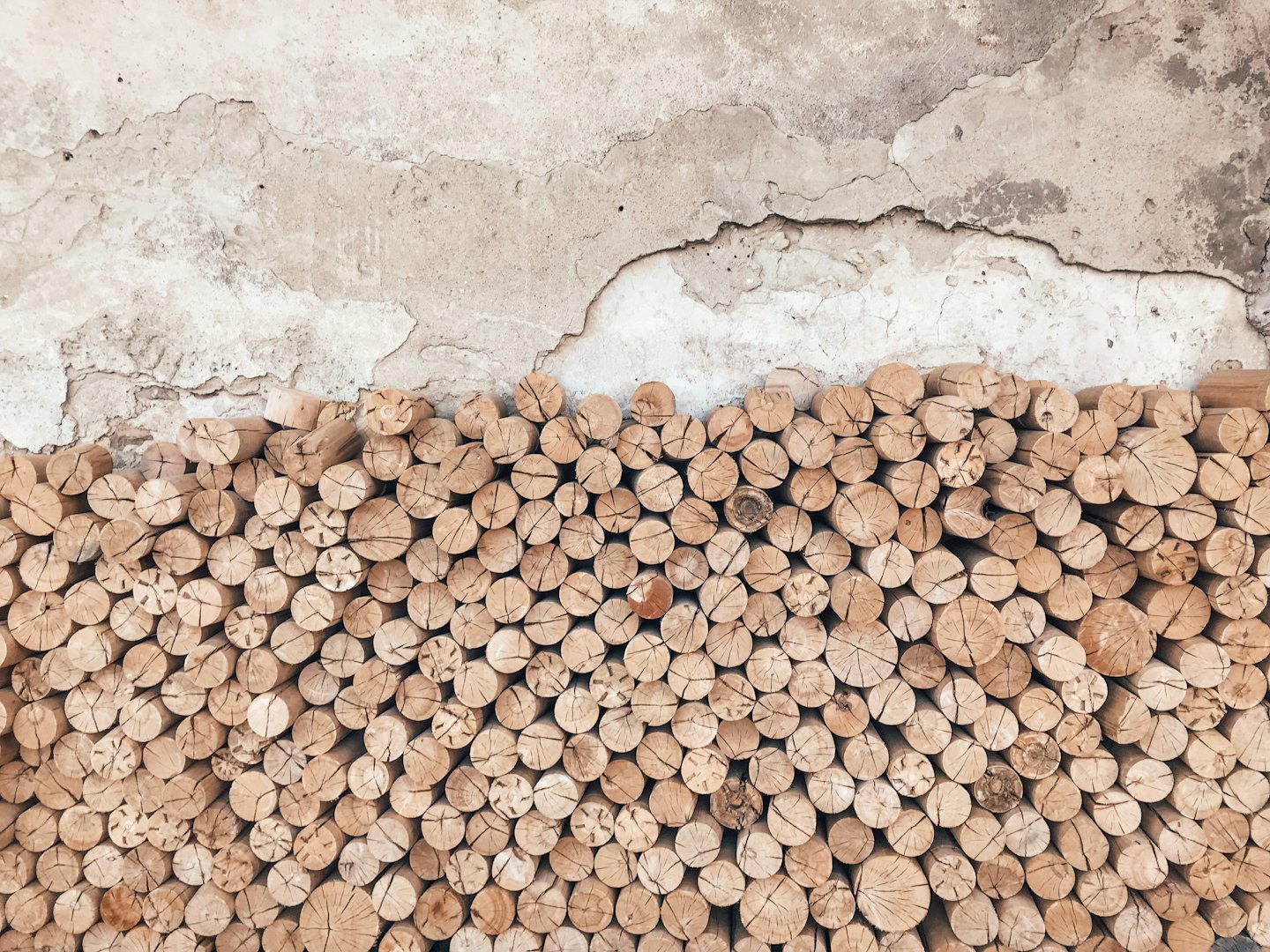 Des bûches de bois empilées contre un mur de béton brut.