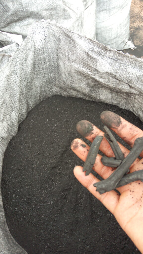 Biochar Active pour Jardin