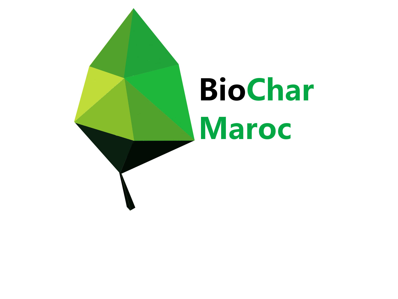 Biochar Maroc